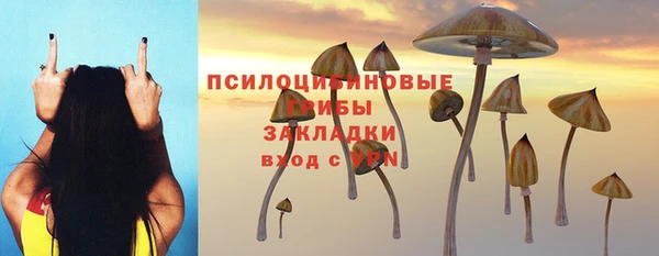 прущий лед Алексеевка