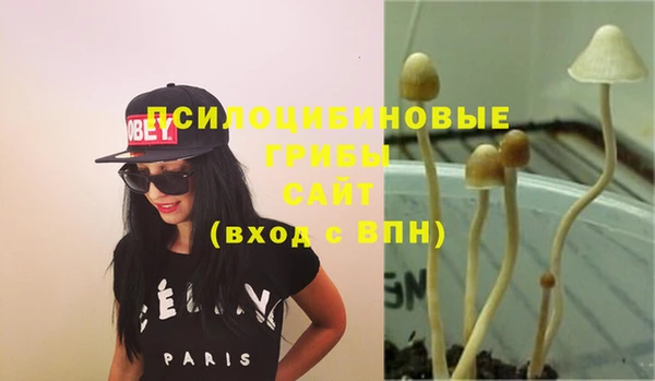 ПСИЛОЦИБИНОВЫЕ ГРИБЫ Абаза