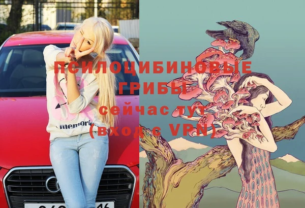 не бодяженный Алзамай