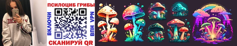MEGA Нерехта Псилоцибиновые грибы Magic Shrooms купить